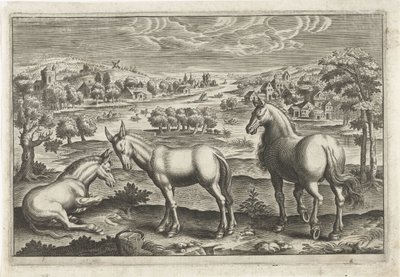 Cheval et ânes (Animaux quadrupèdes, Animalivm Qvaddrvpedvm) - Anonymous