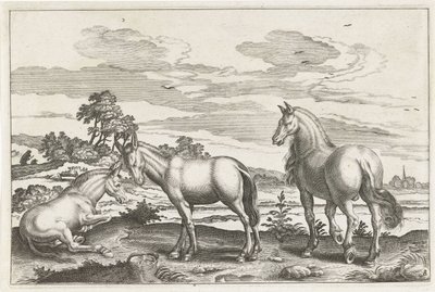 Cheval et ânes - Anonymous
