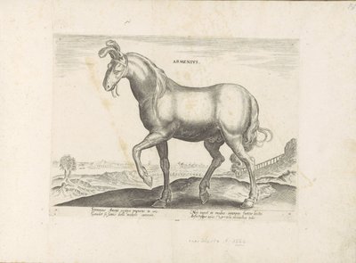 Cheval d