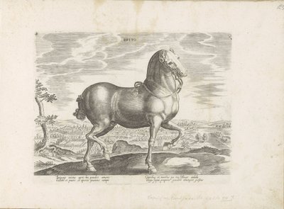 Cheval d
