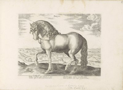 Cheval de Frise - Anonymous