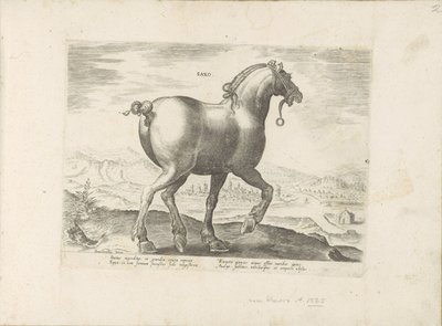 Cheval de Saxe (Paardenrassen uit de Koninklijke stallen van Don Juan van Oostenrijk) - Anonymous