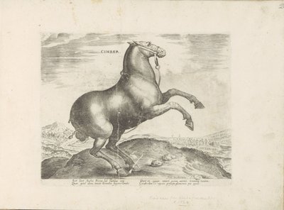 Cheval de Scythie - Anonymous