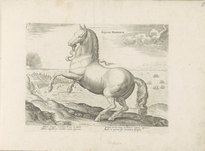 Cheval d