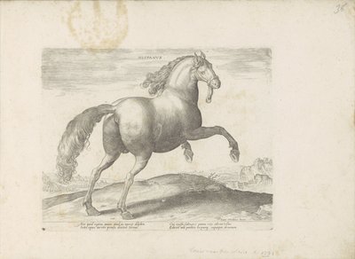 Cheval d