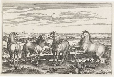 Chevaux - Anonymous