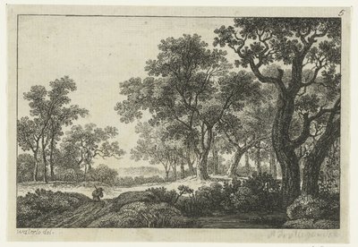 Sentier à travers la forêt - Anonymous