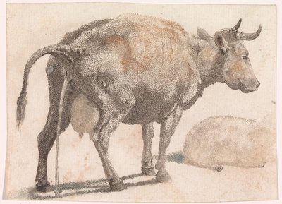 Vache urinant - Anonymous