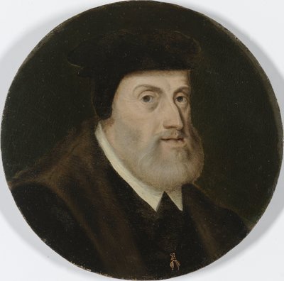 Portrait de Charles V, empereur romain germanique - Anonymous