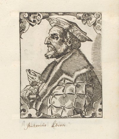 Portrait d