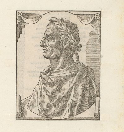 Portrait de Marcus Tullius Cicéron - Anonymous