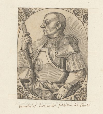 Portrait de Niccolò di Pitigliano - Anonymous