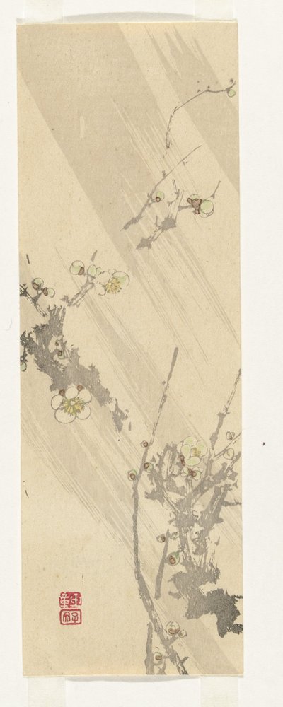 Fleur de prunier - Anonymous