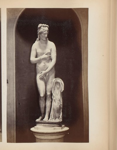 Sculpture de Vénus au Musée du Capitole à Rome, Italie - Anonymous