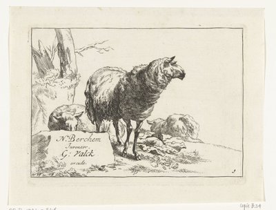 Mouton debout et deux moutons couchés (chèvres et moutons d