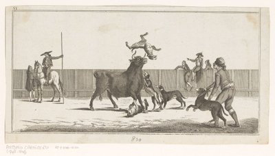 Taureau attaqué par des chiens - Anonymous