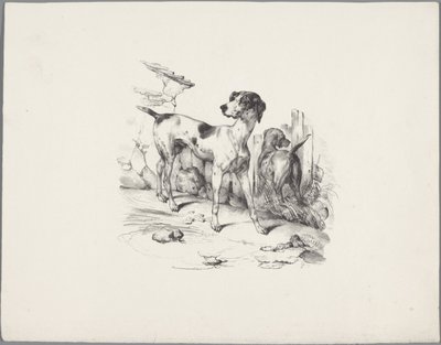 Deux chiens près d