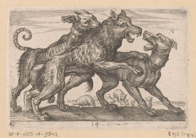 Deux chiens en combat avec un loup - Anonymous