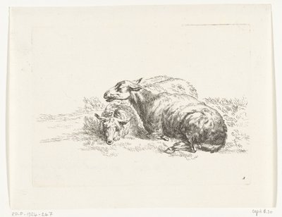 Deux moutons couchés - Anonymous