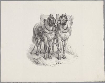 Deux chevaux harnachés - Anonymous