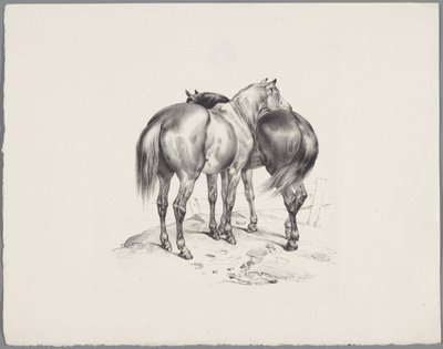 Deux chevaux vus de dos - Anonymous