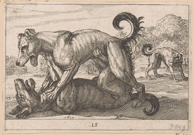 Deux chiens s