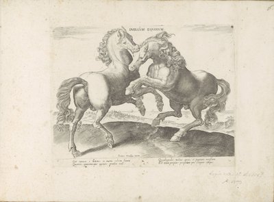 Deux chevaux se battant - Anonymous