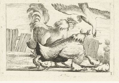 Valk attaque un groupe de poules avec des poussins - Anonymous