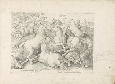 Chevaux combattants - Anonymous