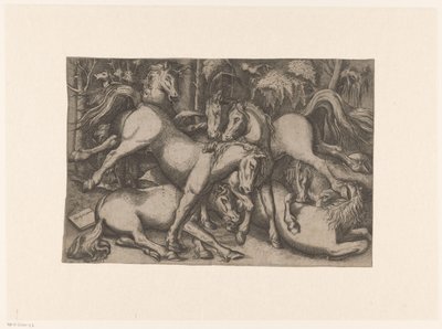 Chevaux combattants - Anonymous
