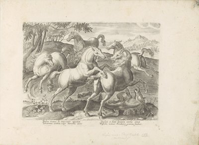 Chevaux combattants avec un cheval piétiné - Anonymous