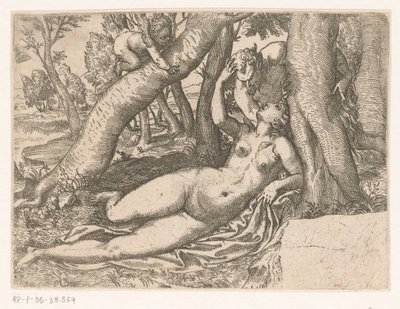 Vénus réveillée par un satyre - Anonymous