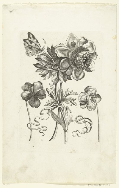 Quatre fleurs, dont deux violettes - Anonymous