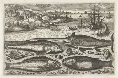 Quatre poissons sur la plage (série de poissons) - Anonymous