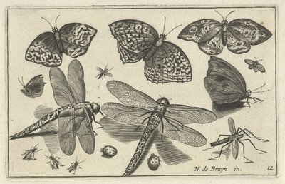 Papillons et libellules Oiseaux et insectes (titre de la série) - Anonymous