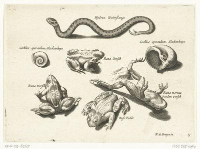 Serpent d