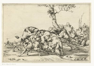 Loup attaqué par cinq chiens de chasse - Anonymous