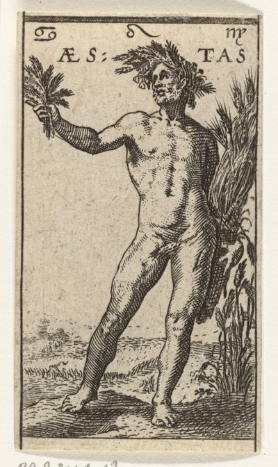 Zomer - Anonymous