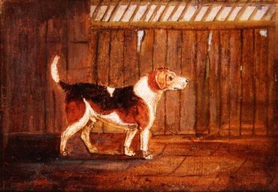 Un chien de chasse - Anonymous Anonymous