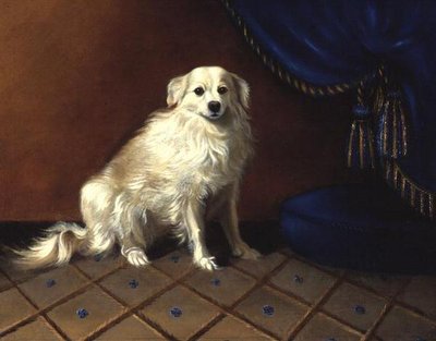 Un chien jouet - Anonymous Anonymous