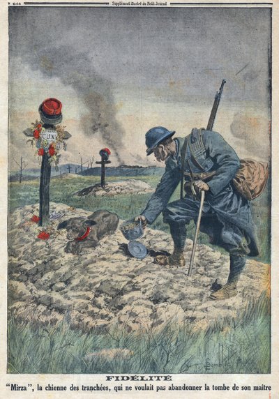 Première Guerre mondiale 1914-1918. Un chien refusant d
