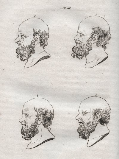 Physionomie - Physiognomonie - Plusieurs têtes du philosophe grec Socrate (ca. 469 av. J.-C.-399 av. J.-C.) (Buste de Socrate (ca 469 av. J.-C.-399 av. J.-C.), philosophe athénien) gravure de 1808 dans L