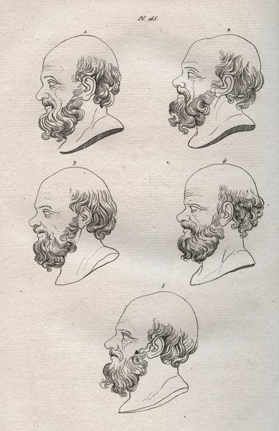 Physionomie - Plusieurs têtes du philosophe grec Socrate (gravure) - Anonymous Anonymous