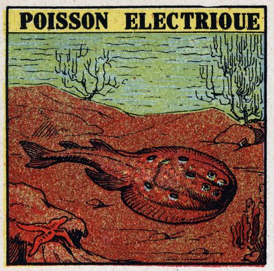 Effets physiologiques de l