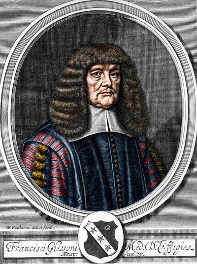 Portrait de Francis Glisson (1599-1677), médecin et anatomiste britannique. - Anonymous Anonymous