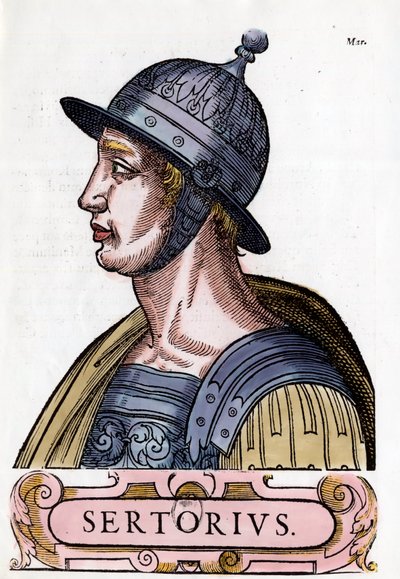 Portrait de Quintus Sertorius (123-72 av. J.-C.), général romain. Gravure. Collection privée. - Anonymous Anonymous
