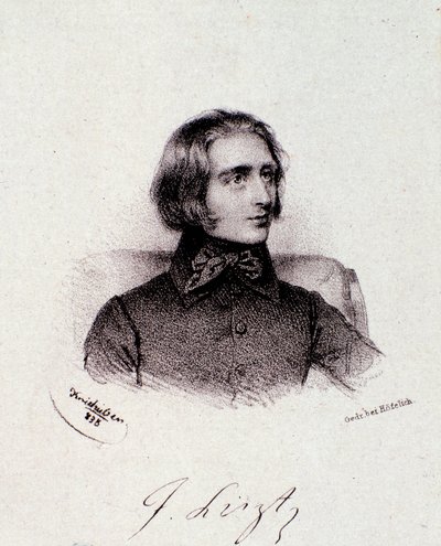 Portrait du compositeur hongrois Franz Liszt (1811-1886) (gravure, 19e siècle, collection privée milanaise) - Anonymous Anonymous