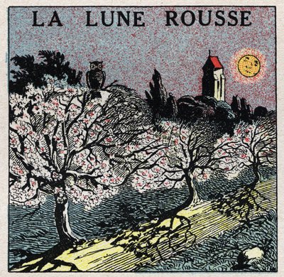 Rayonnement et conductibilité : la lune rouge dont la lumière brûle les bourgeons des fleurs. Illustration anonyme de 1925. Collection privée. - Anonymous Anonymous