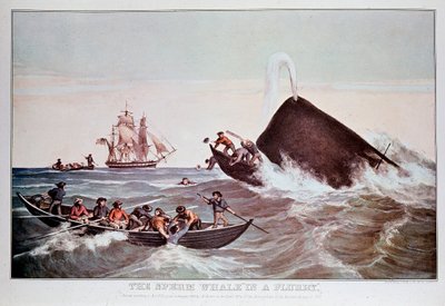Cachalots dans le tourbillon, chavire de petits bateaux. Lithographie du début du 19ème siècle Collection privée - Anonymous Anonymous