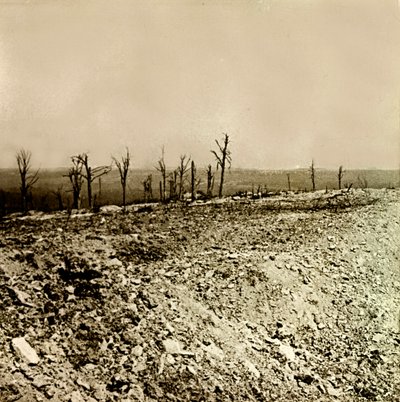 Plaque de verre stéréoscopique sur la Première Guerre mondiale - Anonymous Anonymous